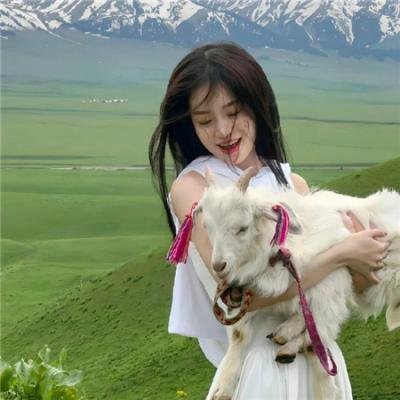 岁岁长宁＆若待玉兰重开时